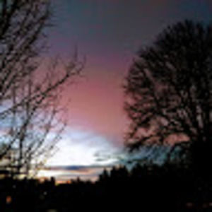 Meet your Posher, Hazel